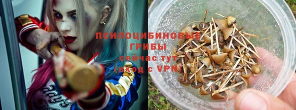 СК Алексеевка
