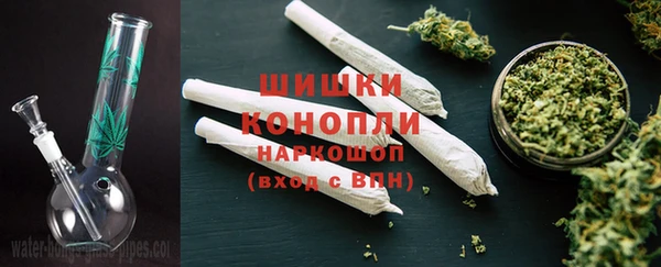 стафф Покачи