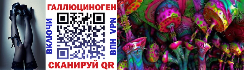 Галлюциногенные грибы Psilocybe  blacksprut ONION  Амурск 